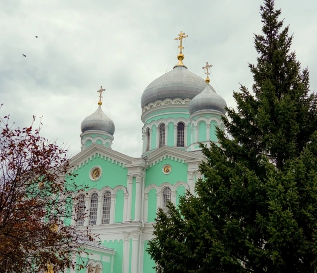 Глава Владимирской митрополии совершил Божественную литургию в Серафимо-Дивеевском монастыре